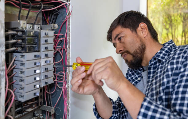 Best Electrical Upgrades for Homes  in Brazoria, TX